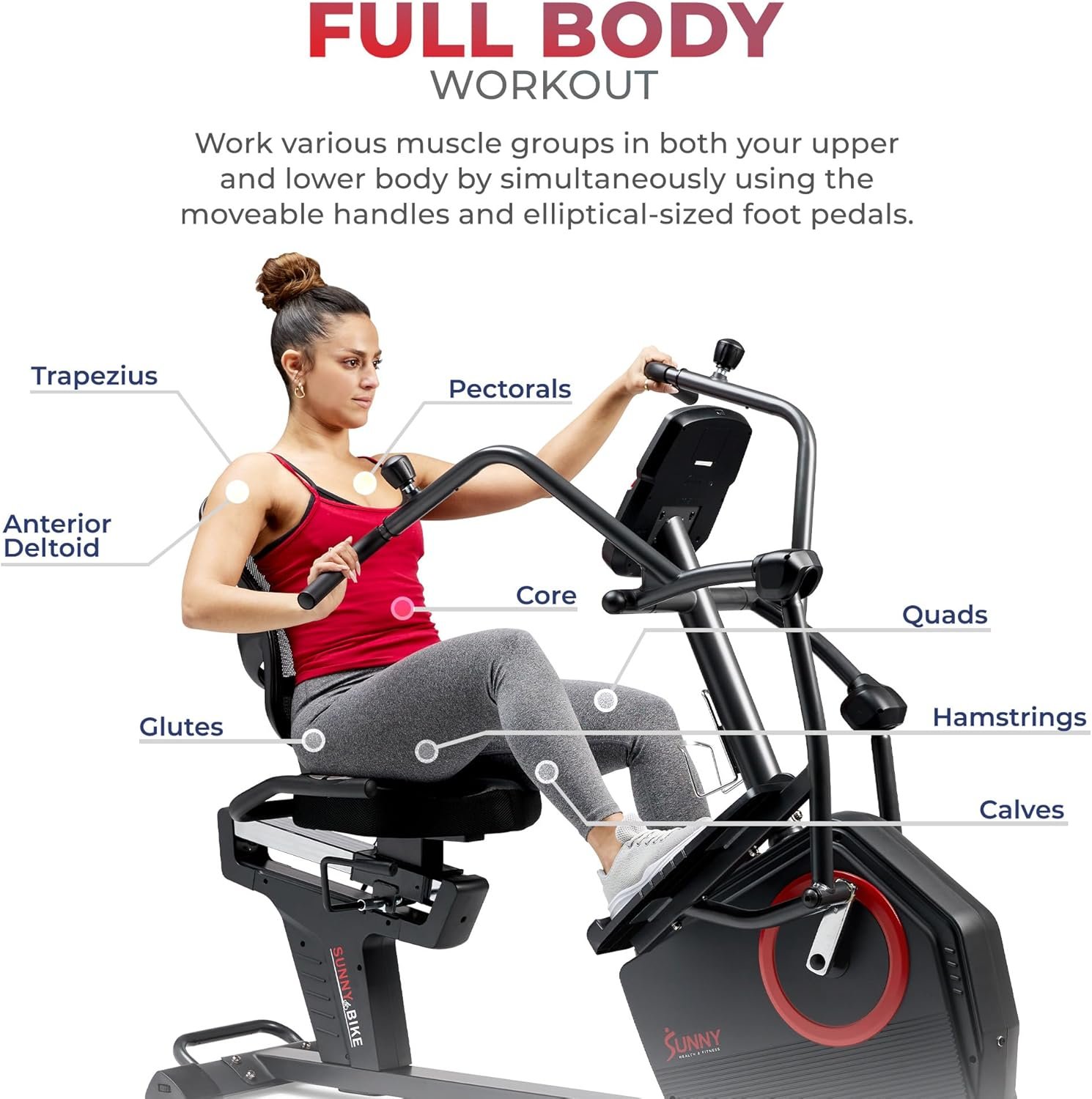 Sunny Health & Fitness Recumbent Cross Trainer with 16 Resistance Levels & SunnyFit App – SF-RBE4886SMART - Image 4